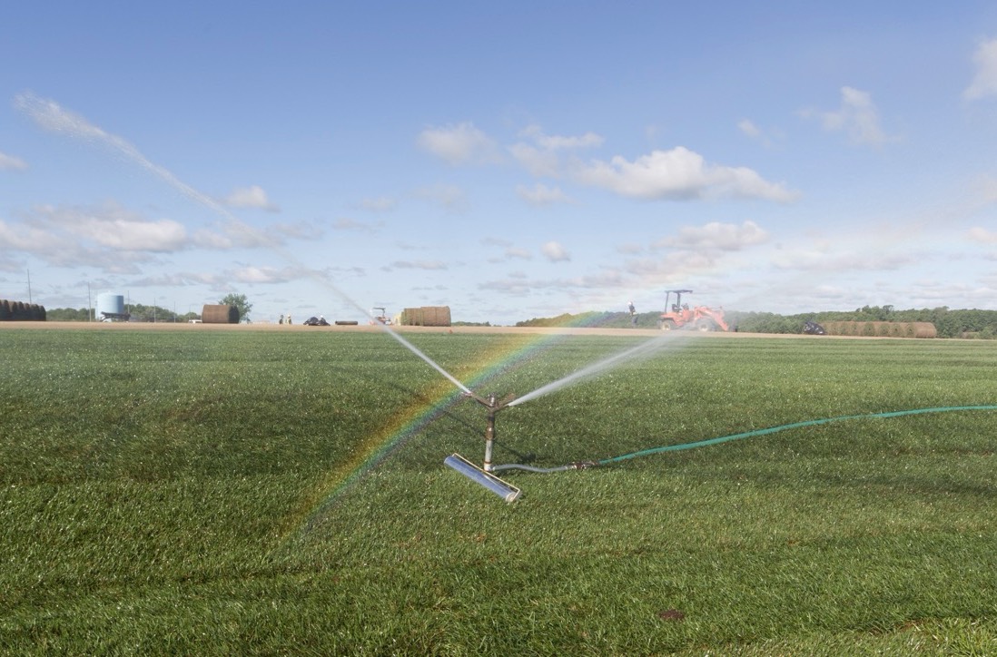 25634420364_52ad9d50ca_k