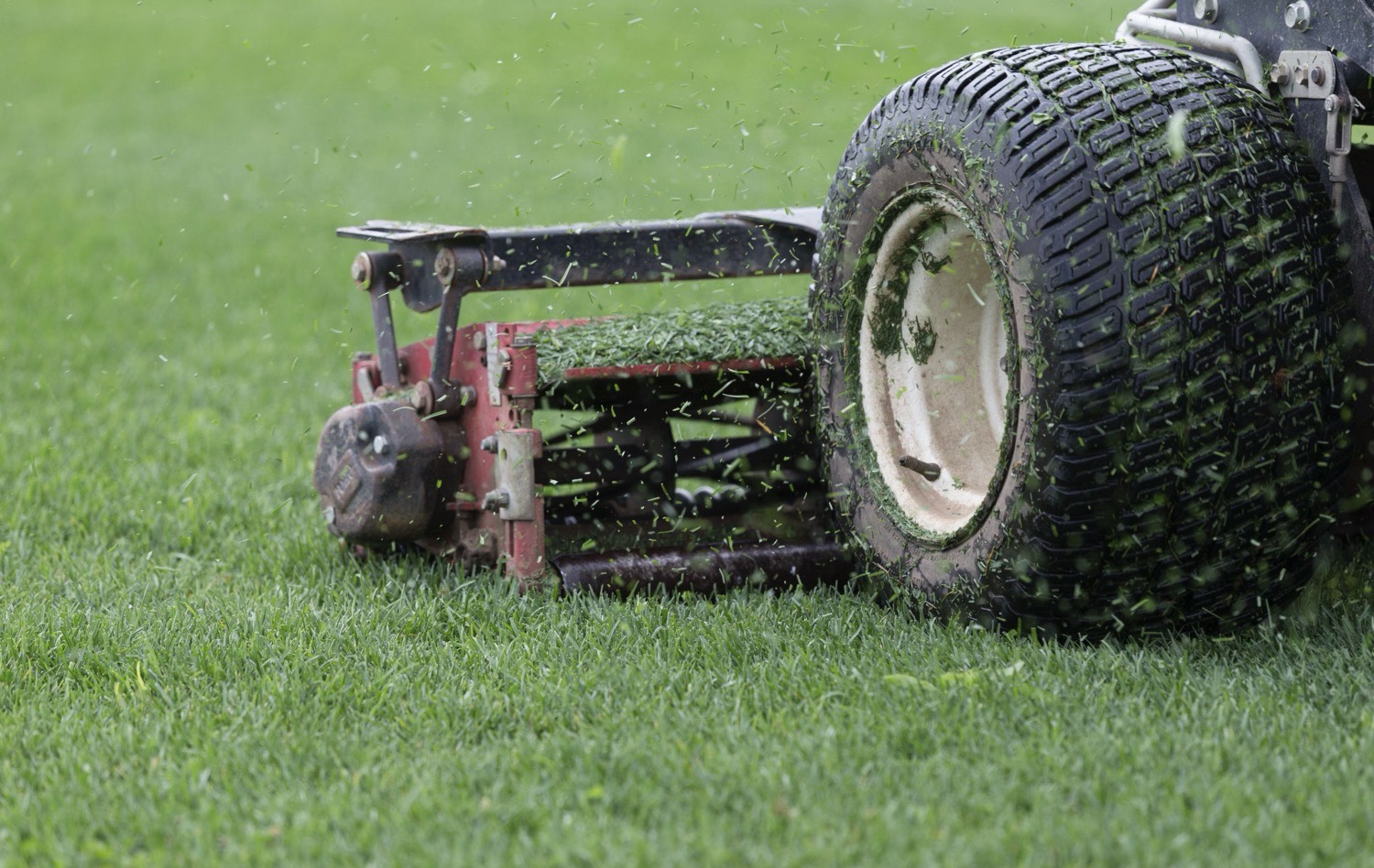 Back of a man at a concert. Hes wearing a beanie hat and a baggy denim jacket with studs. Photo with a purple hue