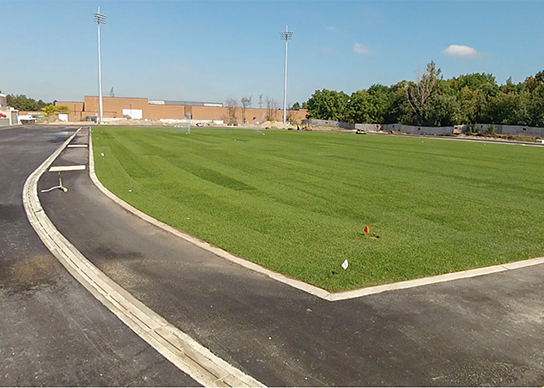 Established Turf
