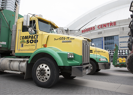Transport Trucks Staging
