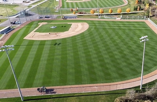 People watching a concert. Photo with a purple hue