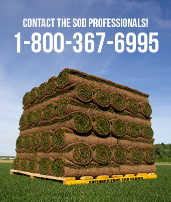 Hero Sod-Skid