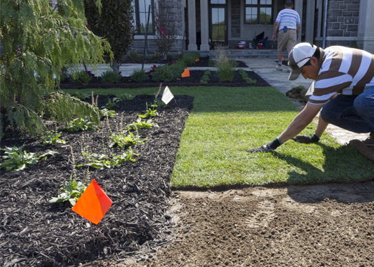 landscapers